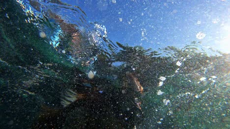 underwater sea adventure of woman enjoying snorkeling facing the camera under the sun ray light