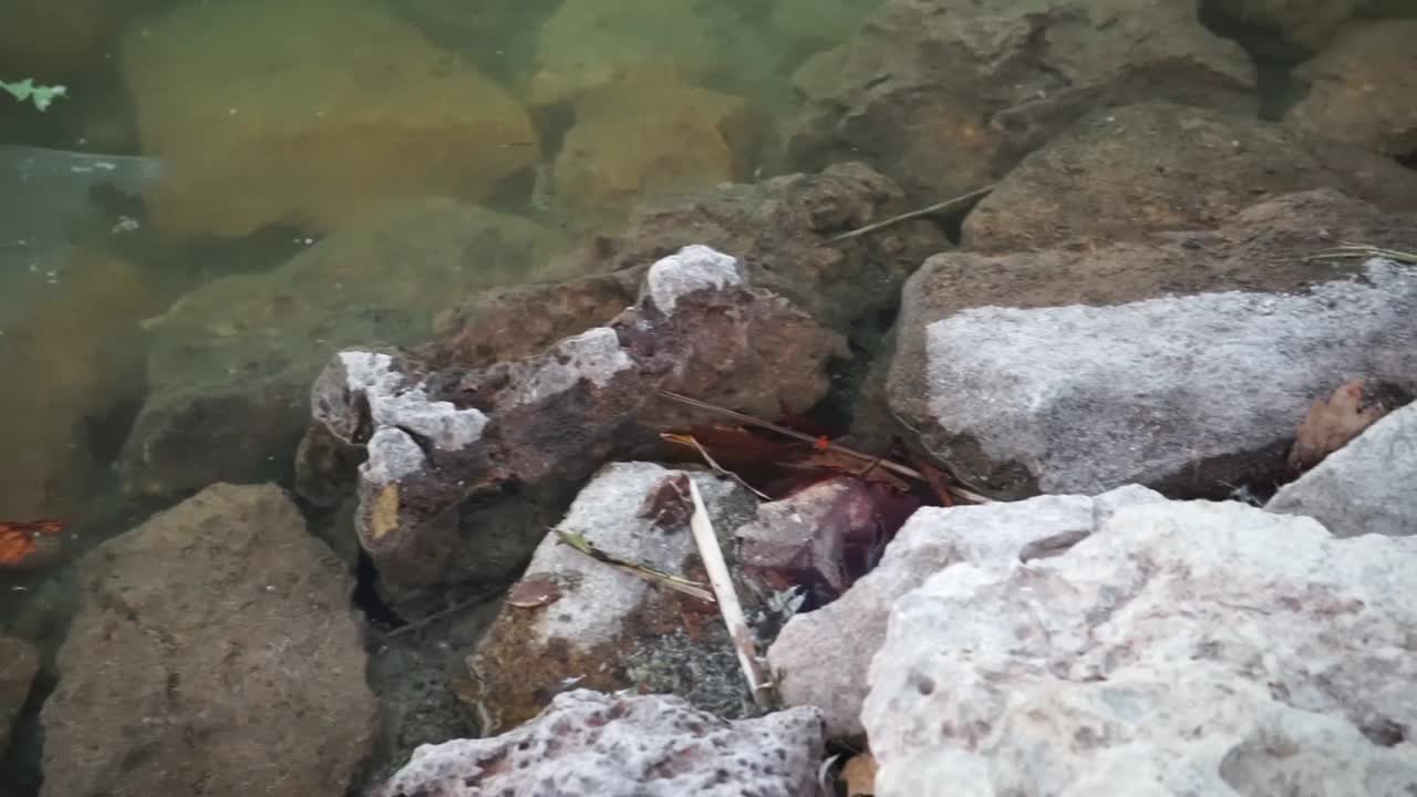 공원 연못에 떠 있는 플라스틱 쓰레기의 패닝 샷, 느린 동작