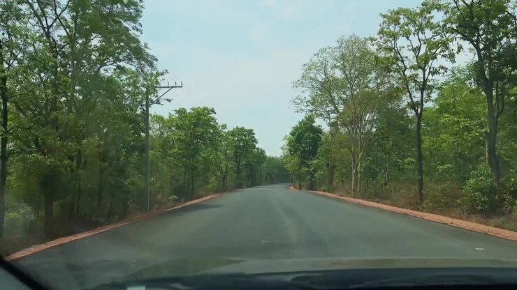 Ripresa POV alla guida dall'interno di un'auto che percorre una strada asfaltata liscia, circondata da fitta boscaglia verde e paesaggio naturale