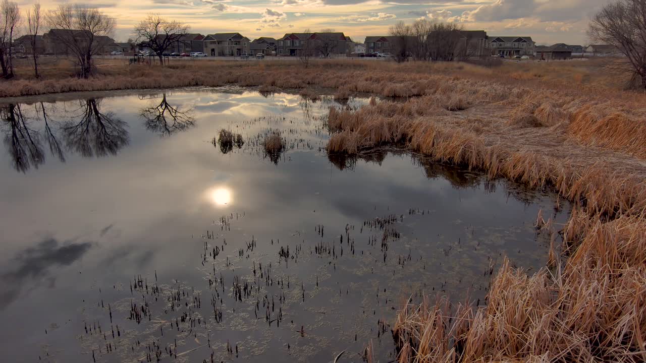 Late afternoon reflections in an urban pond while children play on swings in the background.