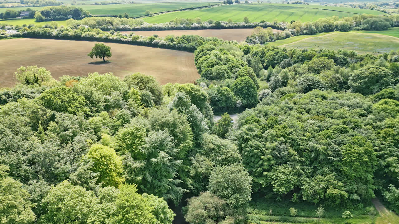 UK countryside park seen from above through drone imagery&mdash;families delight in a meandering stream, charming picnic locales, and a wooded tourist spot