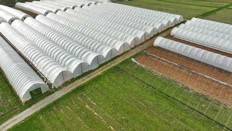 Gewächshaus-Landwirtschaft,-Wachsender-Bauernhof-Thema