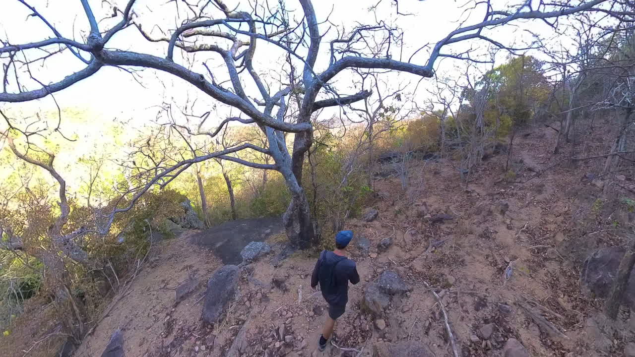 Hiker moves through dense forest trail under soft light, surrounded by branches and leaves, rearview high angle POV