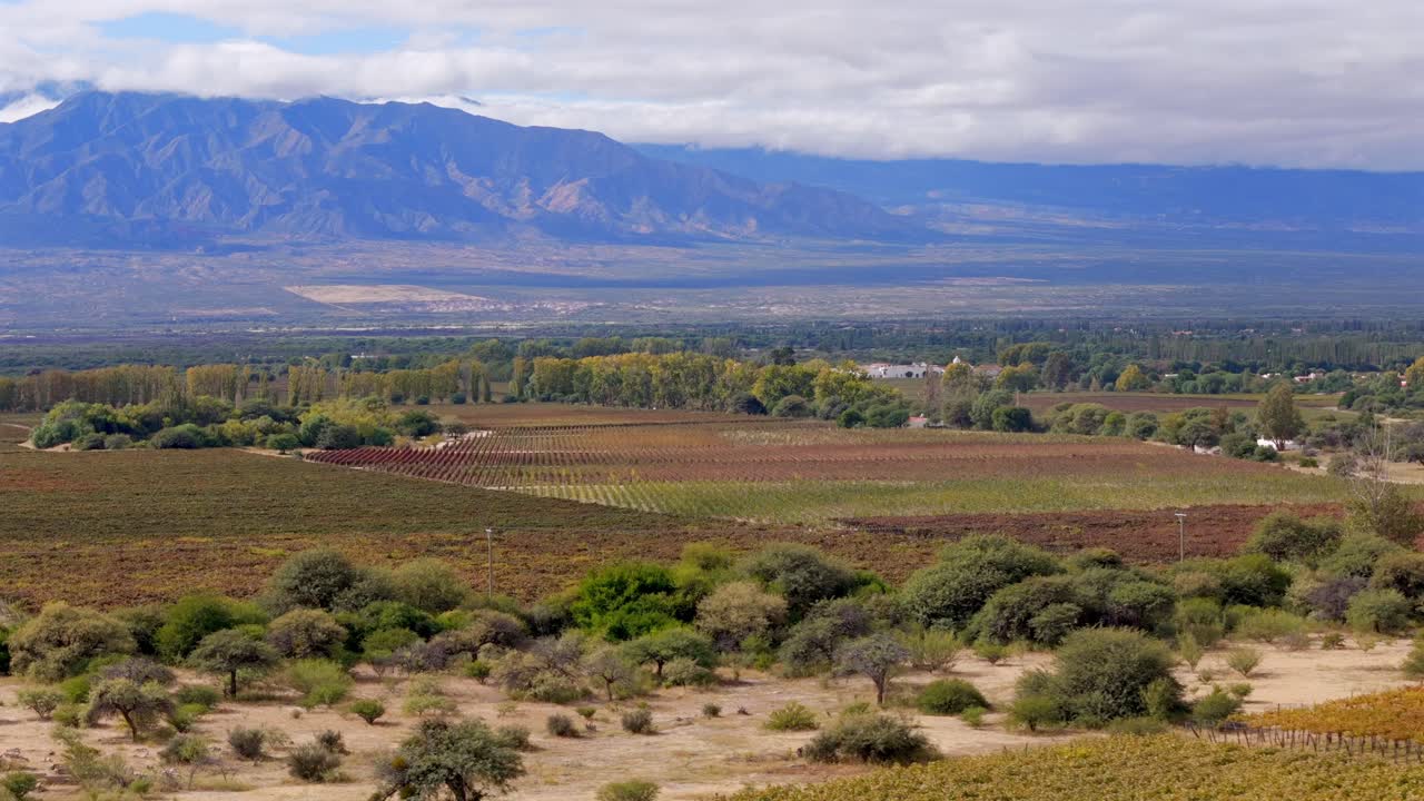 los viñedos se alinean armoniosamente contra el majestuoso telón de fondo de las montañas de los andes en cafayate, salta, argentina, en una escena impresionante.