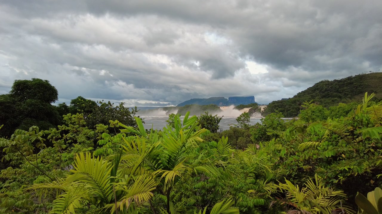 A POV shot of Canaima’s endemic vegetation on a cloudy day near El Hacha Falls, Carrao River, Canaima National Park, Venezuela