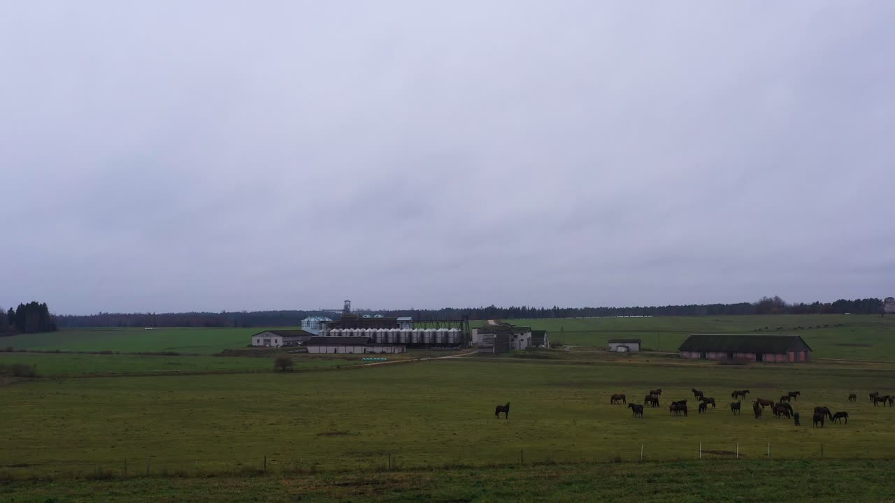 Cavalli al pascolo in un prato di campagna, ranch con fattoria e silo di stoccaggio in lontananza
