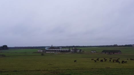 Caballos-Pastando-En-Praderas-Rurales,-Rancho-Con-Silo-De-Almacenamiento-En-La-Distancia