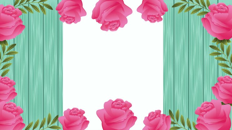 beautifull roses flowers square frame animation