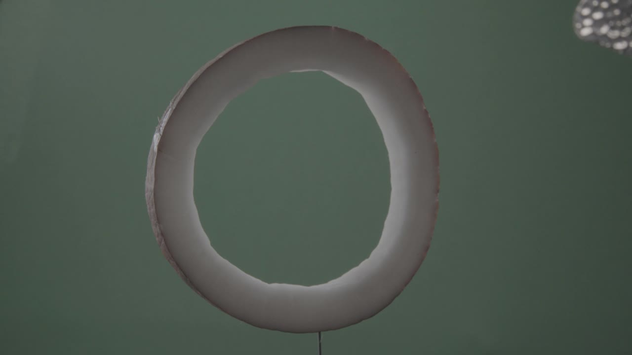 크로마 키를 위해 녹색 화면에 루프와 함께 코코 회전