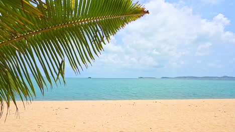 Sunny-tropical-Caribbean-beach-with-palm-tree-branch-in-the-foreground-and-turquoise-sea-water,-island-vacation,-hot-summer-day