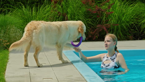 golden retriever and girl at the pool