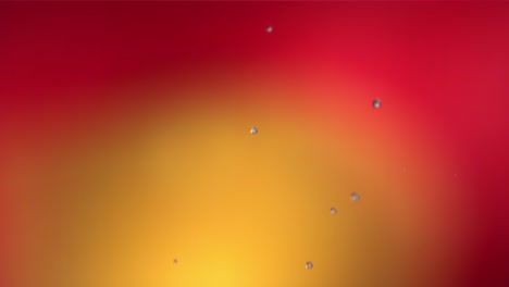 vuelo de mango en fondo rojo amarillo en cámara lenta