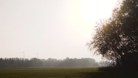 panoramic view of monring scenery on field with wind turbines in background