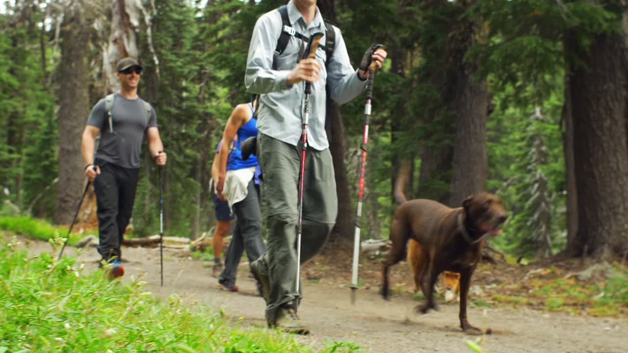 산책하는 친구들의 아름다운 사진