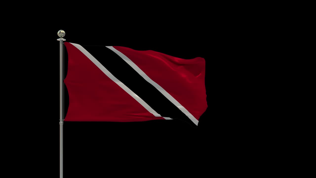 베닌의 다양한 발은 기둥에 국기를 흔들고, 테이블 발을 흔들고 있습니다.