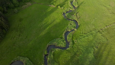 arroyo que atraviesa un prado