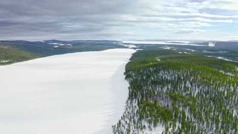 volando sobre un río ancho congelado entre una amplia zona boscosa de hoja perenne