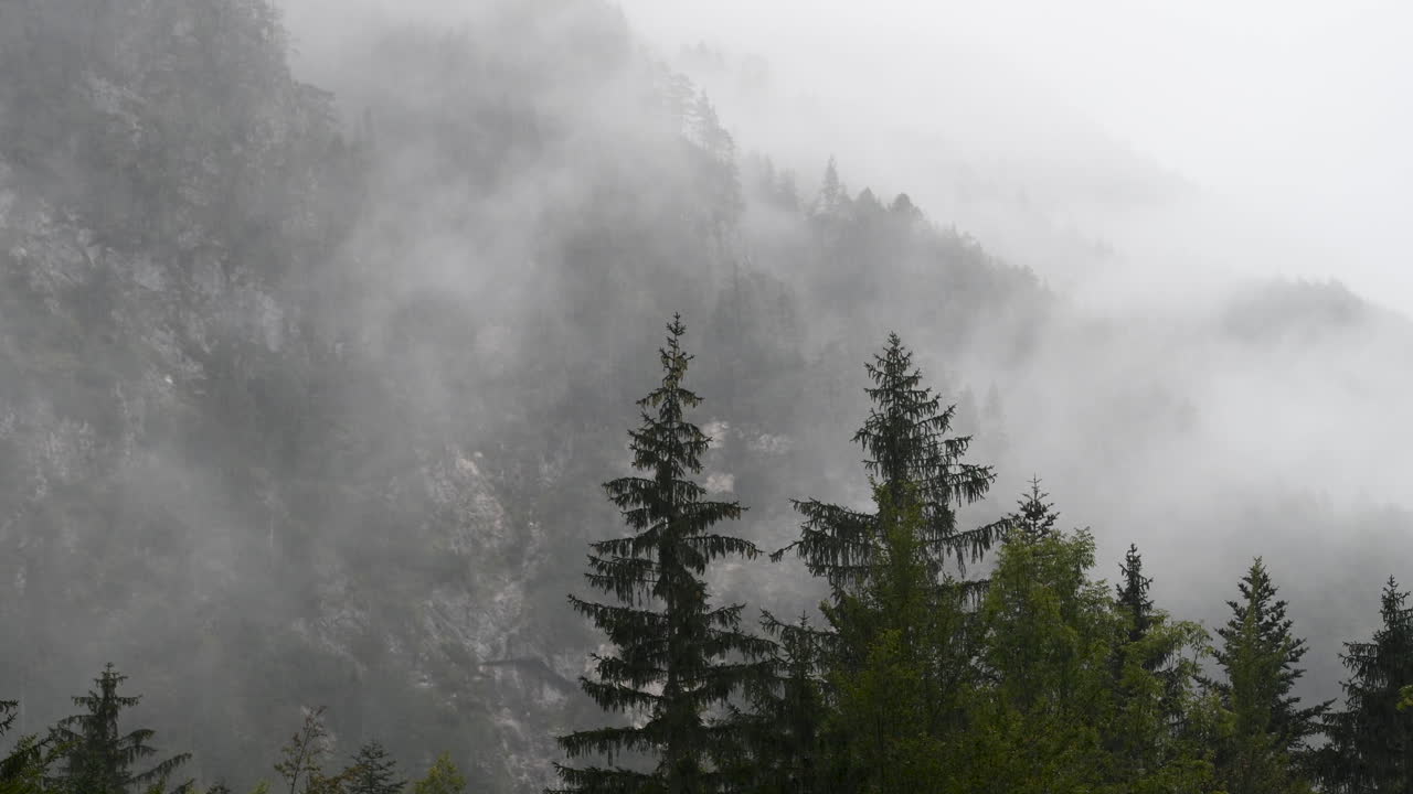 Deštivý den v alpském údolí s nízkou oblačností, Logarská dolina, Slovinsko, mraky a mlha se pomalu pohybují za stromy, nepředvídatelné horské počasí, nebezpečí pro turisty a horolezce, 4k, pohyb kamery zleva doprava.