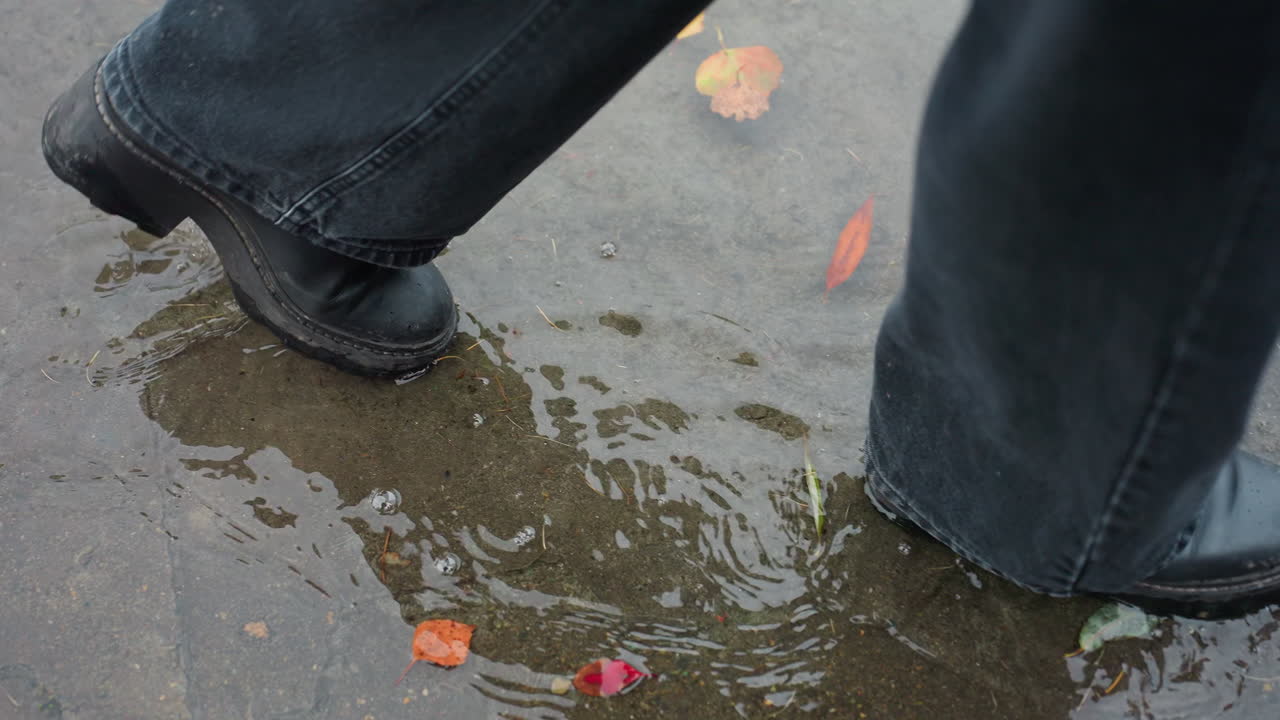Water puddle on wet paved path scattered with colorful autumn leaves and pine needles reflecting bare trees above, as black boot gently steps into shallow water