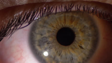 un primer plano extremo del ojo humano moviéndose y parpadeando