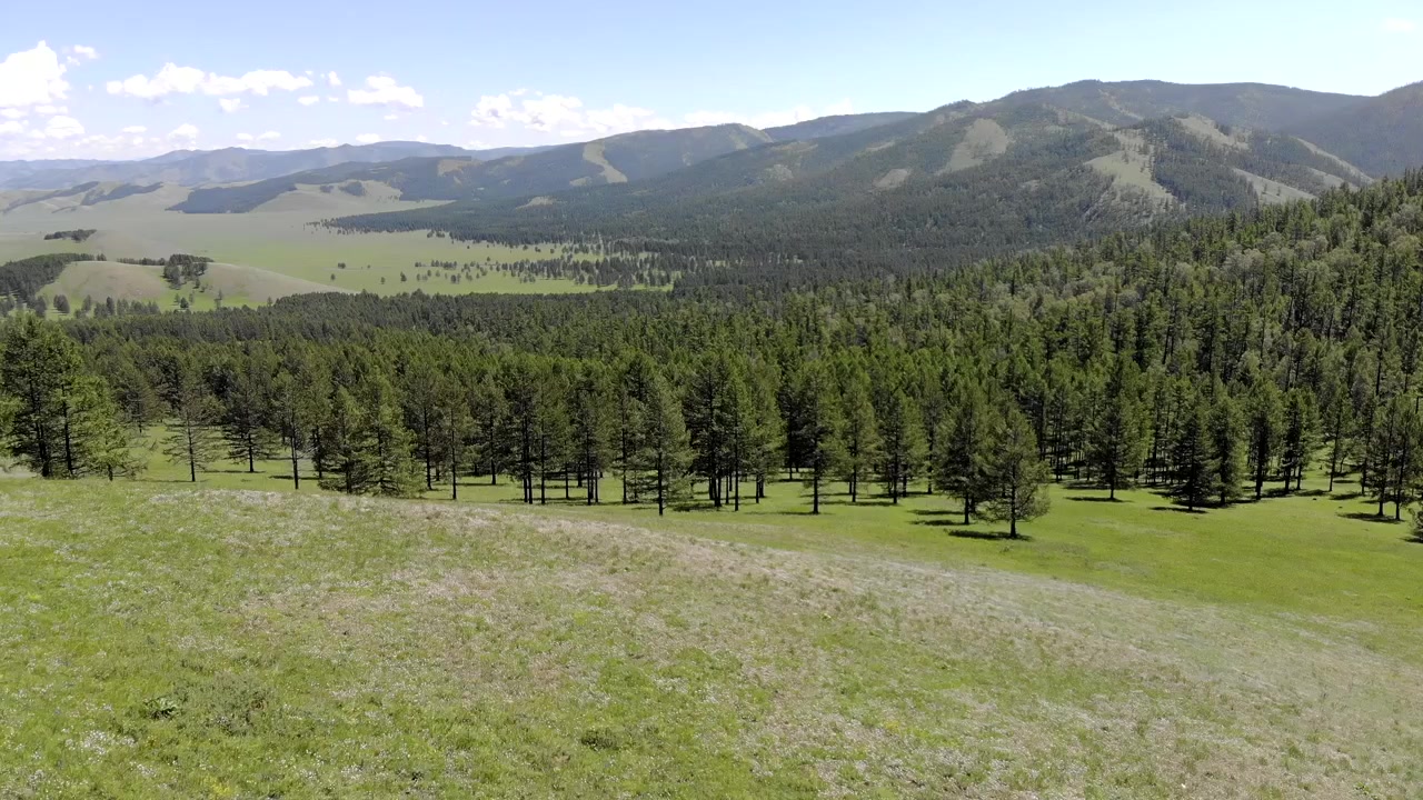 Aerial View of Lush Green Mountain Valley and Pine Forest