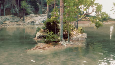 blue water in a forest lake with pine trees