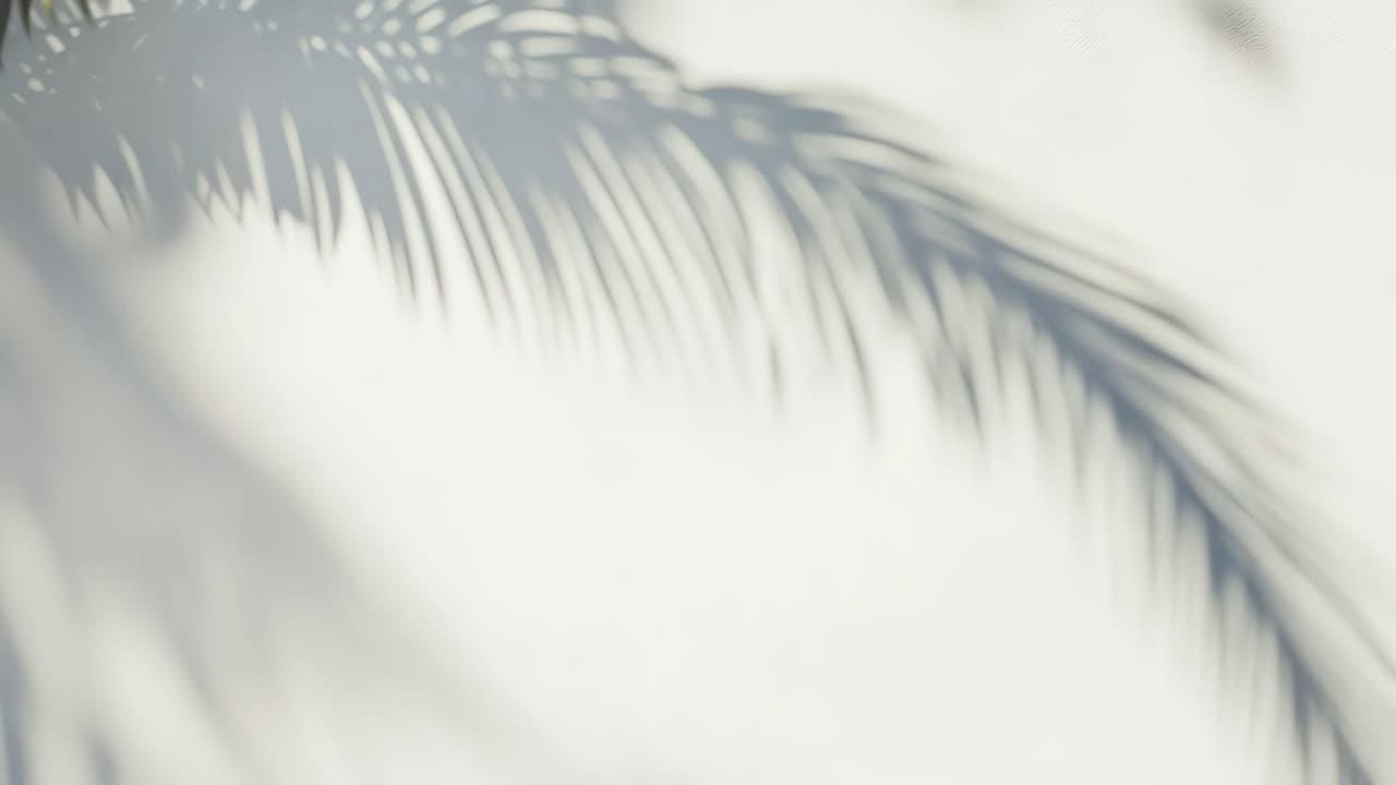 Soft-focus video captures palm leaf shadows on a bright wall, creating a serene, tropical ambiance