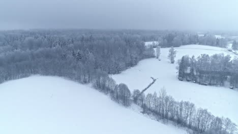 Forest-in-white-covered-with-snow-and-frost