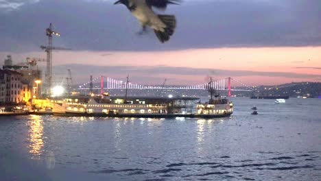 istanbul galata landscape sea bosphorus