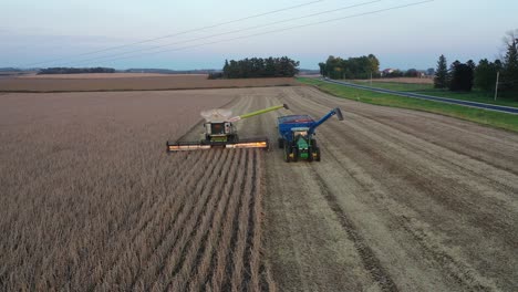 la cosecha de soja en un campo