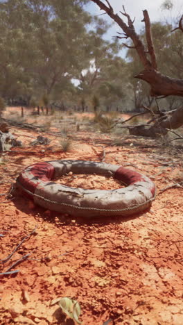 a life preserver lies abandoned on the ground in a dry, desert-like landscape.