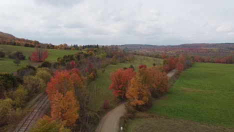 drone shot of peak fall colours in a rural country landscape