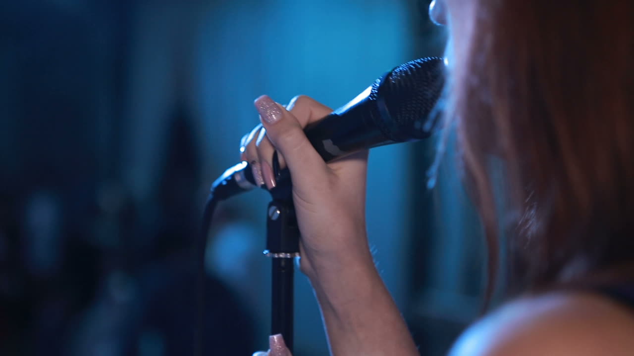 Artist performs songs from stage during concert at nightclub