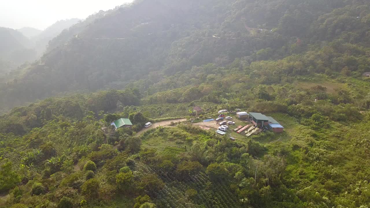 plantación de café en la selva montañosa boliviana