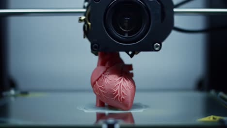 advanced 3d printing technology in action: creating a detailed heart model demonstrates innovation in medical prototyping and education.