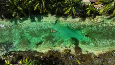 aerial view above people floating in the bacalar rapids, in sunny mexico - cenital, drone shot