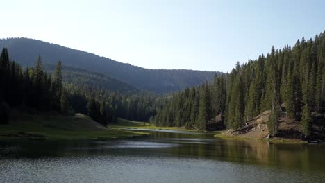 Tilt-up-shot-of-a-stunning-nature-landscape-view-of-Anderson-Meadow-Reservoir-up-Beaver-Canyon-in-Utah-with-a-field-of-grass,-large-pine-trees-on-all-sides-and-clouds-on-a-warm-sunny-summer-day