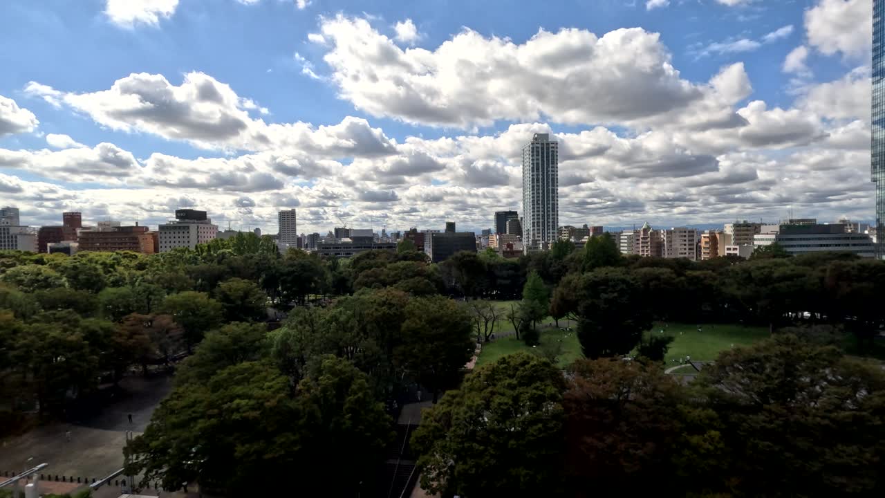 hermoso video de lapso de tiempo del parque central de shinjuku en tokio, japón