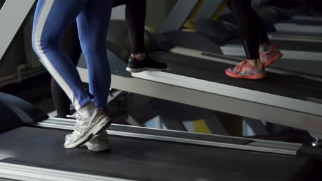 People Exercising on Treadmills