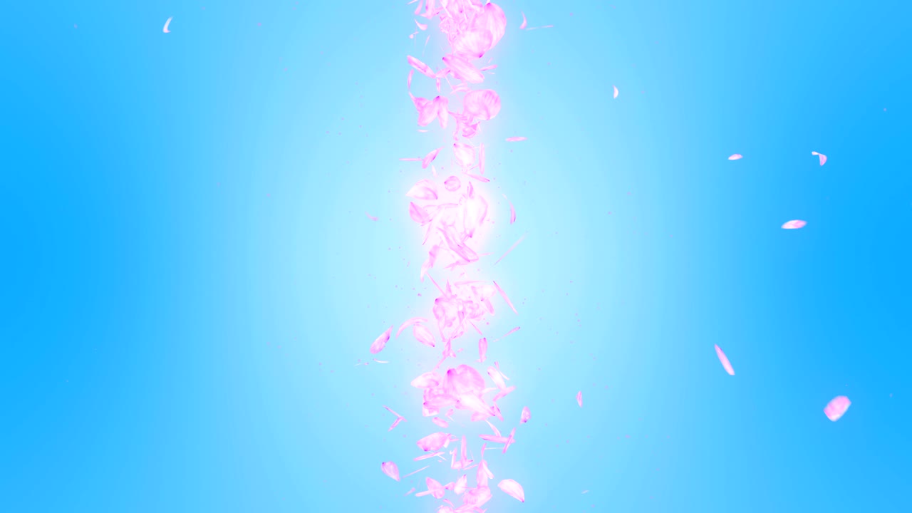 파란색 배경에 떨어지는 체리 꽃 잎, 루프 글리터 애니메이션