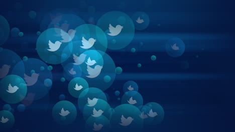 animation motion icons of twitter social network on simple background