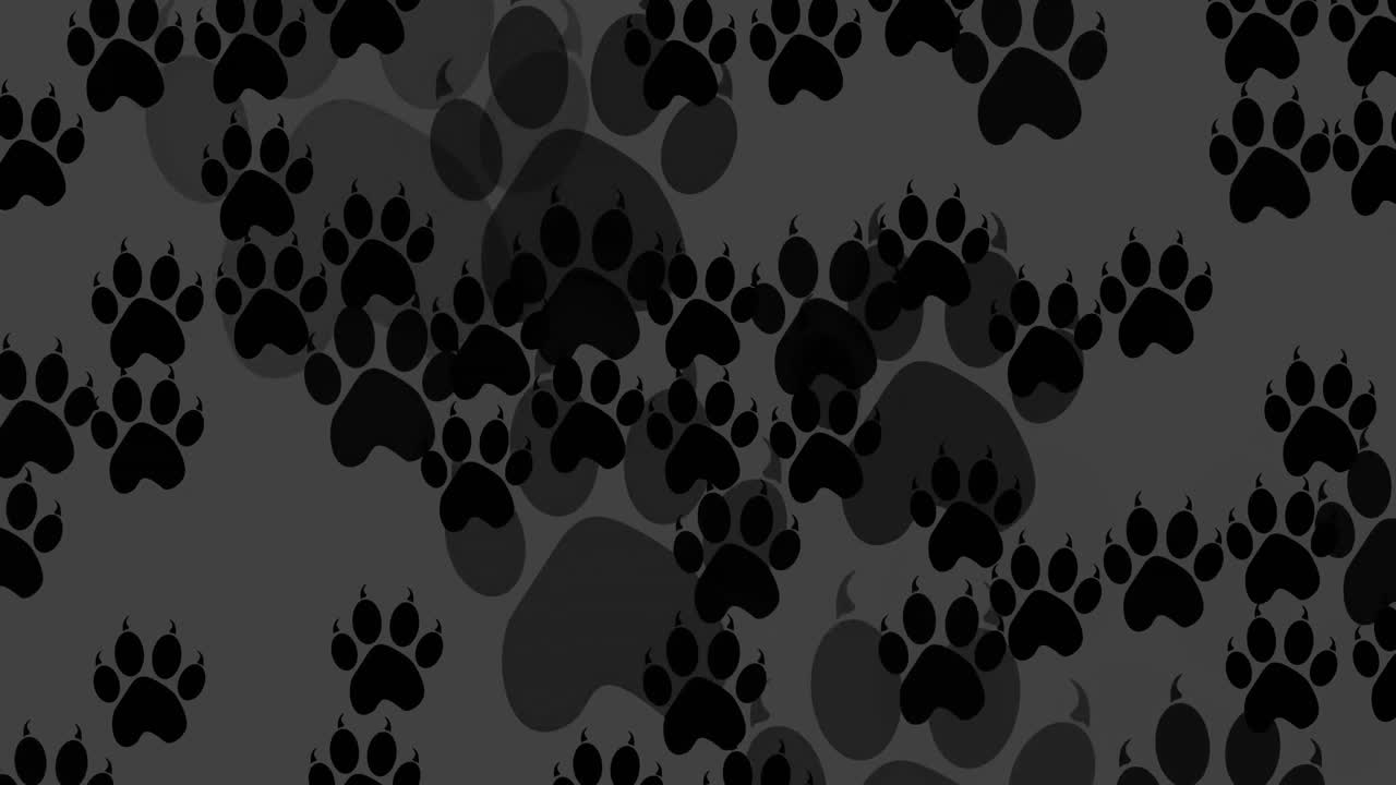 Animation of black dog paw prints filling dark grey background
