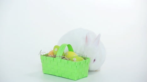 white bunny rabbit with wicker basket of easter eggs