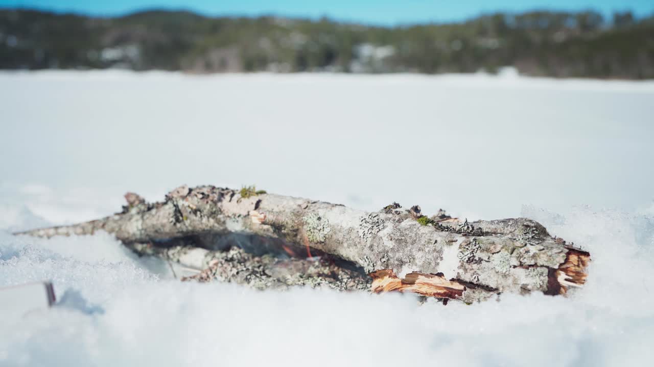 ⁇ 빛이 넘치는 겨울 풍경 에서 불타는 나무 로그