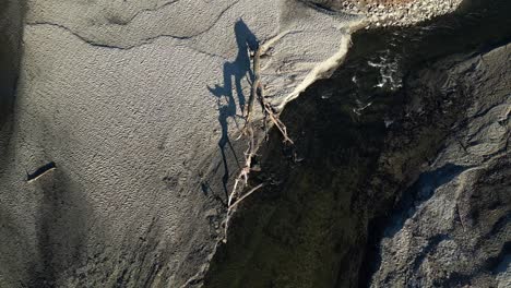 headshot of a river flow that is badly eroded with a fallen tree