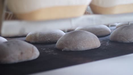 raw bread loaves on conveyor belt. bakery mill manufacturing line