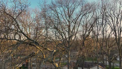 sunsetting in the evening of late spring