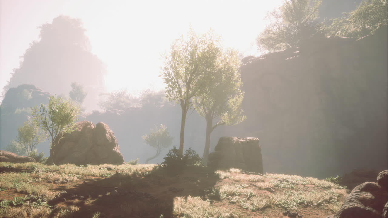 la luz del sol se filtra a través de los árboles en un paisaje natural sereno