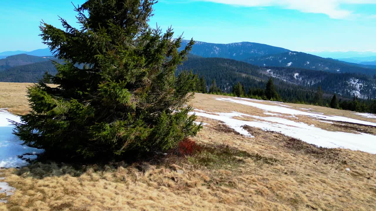 Hiking at Rysianka mountain pasture on a windy day - drone 4k