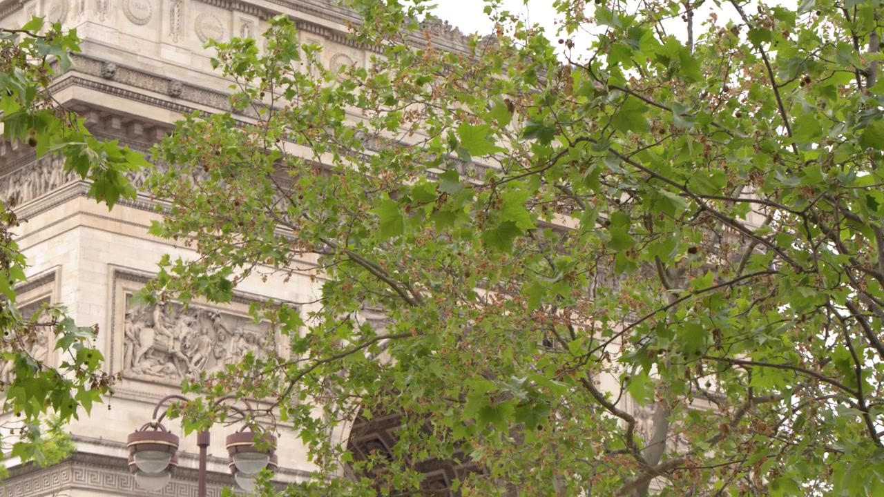 Vista em ângulo baixo do Arco do Triunfo atrás de folhagem verde exuberante em Paris, França